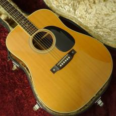 Aria Dreadnought DS-60_3