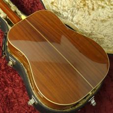 Aria Dreadnought DS-60_4
