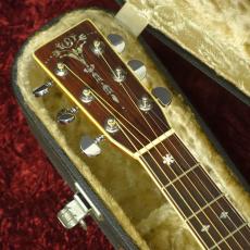 Aria Dreadnought DS-60_5