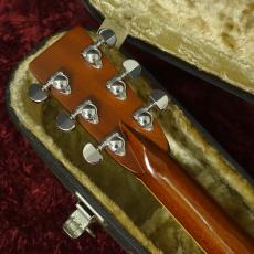 Aria Dreadnought DS-60_6