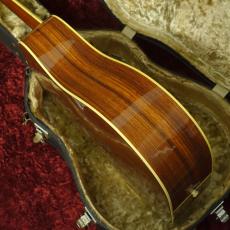 Aria Dreadnought DS-60_7