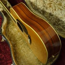 Aria Dreadnought DS-60_8