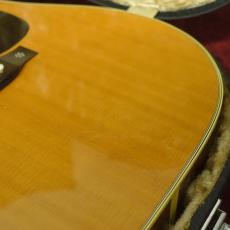 Aria Dreadnought DS-60_9