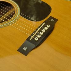 Aria Dreadnought DS-60_10