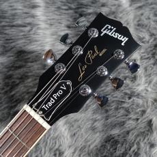 Gibson Exclusive Les paul Traditional Pro V Satin Wine Red_4