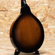 Gibson A-40 1966_2
