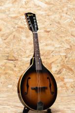 Gibson A-40 1966_3