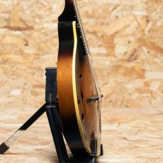 Gibson A-40 1966_4