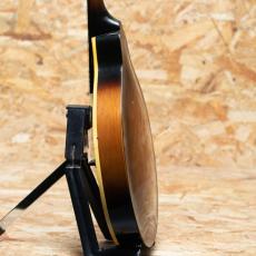 Gibson A-40 1966_5