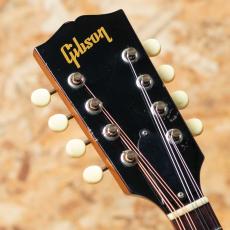 Gibson A-40 1966_8