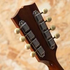 Gibson A-40 1966_9