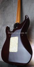 Suhr Standard Trans Honey Amber H-S-H_9