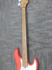 Bacchus WJB-1DX RSM/M FR_7