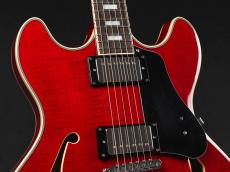 Sire H7 STR Larry Carlton ~See Through Red~_4