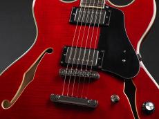 Sire H7 STR Larry Carlton ~See Through Red~_5