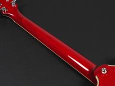 Sire H7 STR Larry Carlton ~See Through Red~_10