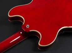 Sire H7 STR Larry Carlton ~See Through Red~_11