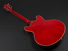 Sire H7 STR Larry Carlton ~See Through Red~_12