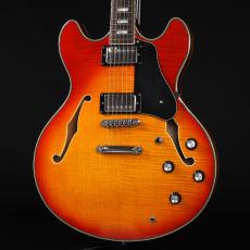 Sire H7 CS Larry Carlton ~Cherry Sunburst~