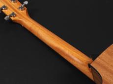 Taylor 112ce Special Edition ~Honeyburst~_9