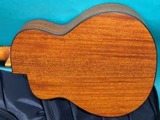 aNueNue aNN-M25E_3