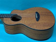 aNueNue aNN-M25E_4