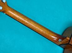 aNueNue aNN-M25E_8