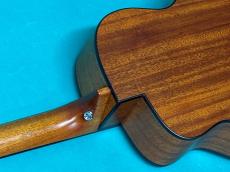 aNueNue aNN-M25E_9