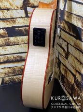 Cordoba コルドバ Model:Fusion 12 White Sands【日本総本店2F 在庫品】_7