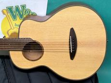 aNueNue aNN-M10_2