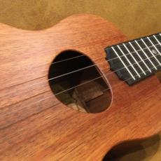 KoAloha KCM-10コンサートPIKAKE_3
