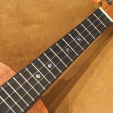 KoAloha KCM-10コンサートPIKAKE_6