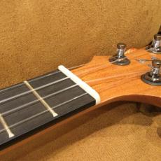 KoAloha KCM-10コンサートPIKAKE_7