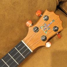 KoAloha KCM-10コンサートPIKAKE_8