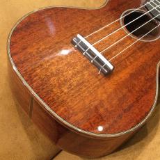 Eastman EU-3C_2