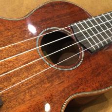 Eastman EU-3C_3