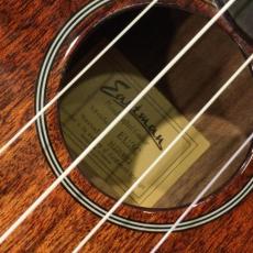 Eastman EU-3C_4