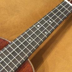 Eastman EU-3C_5