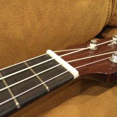 Eastman EU-3C_6