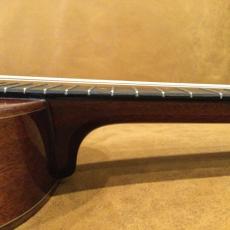 Eastman EU-3C_8