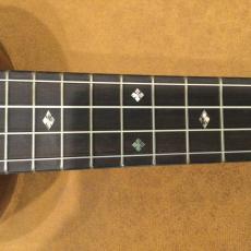 Eastman EU-3C_9