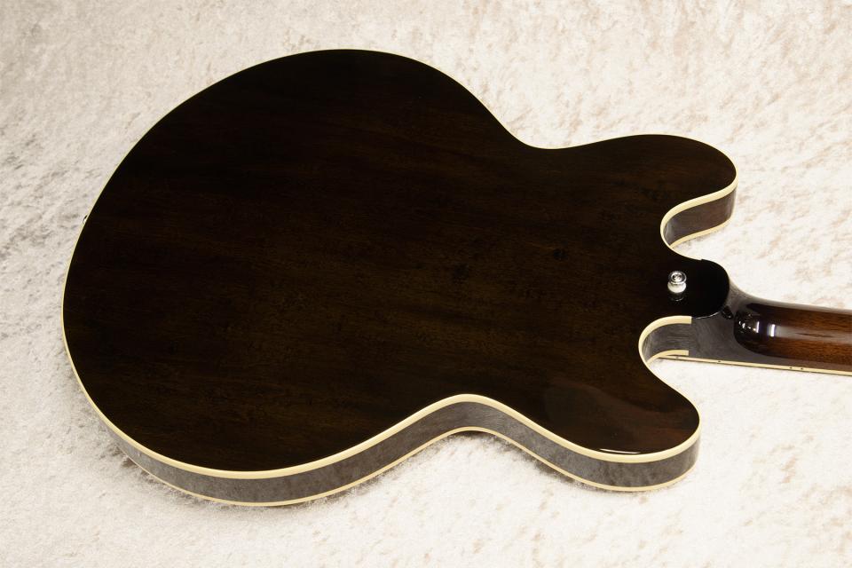 Archtop Tribute AT130MH 2020年代 New 1155798 Archtop Tribute