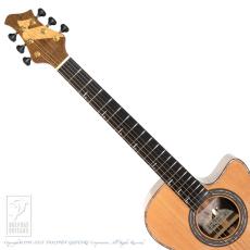 Morris SC-741 地杉黄蘗_6