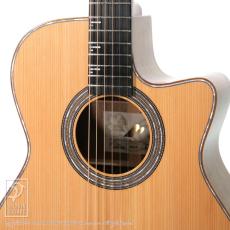 Morris SC-741 地杉黄蘗_11