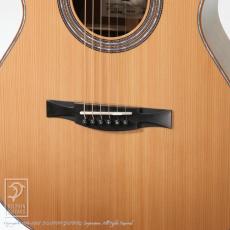 Morris SC-741 地杉黄蘗_12