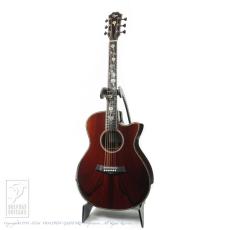 Toya Guitar T14 Cutsom All Cocobolo_2