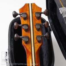 Toya Guitar T14 Cutsom All Cocobolo_7