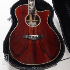 Toya Guitar T14 Cutsom All Cocobolo_9