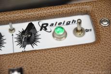 CARR Raleigh 2010USED!!_10