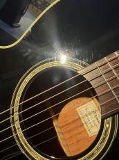 Takamine 【USED】 TDP515-6BL [2005年製][G-Club Tokyo] _8